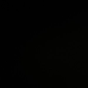 Meet your Posher, Camryn